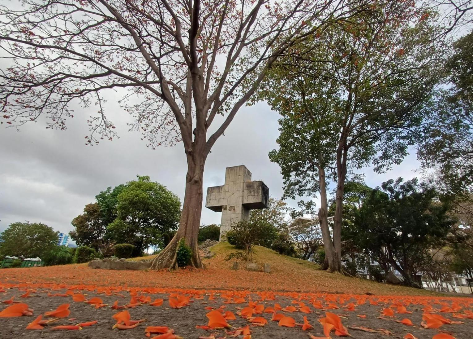 Sabana Studios San José Exteriér fotografie